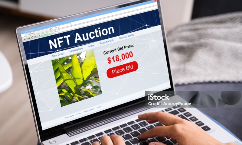 NFTB币发行量是多少？NFTB币的总量解析