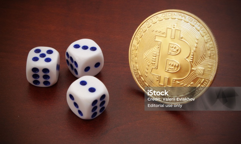 SUKU是什么币种？SUKU币的功能与前景深度解析