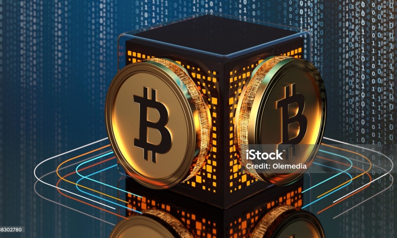 BTC Wallet安全吗?官方钱包防盗指南