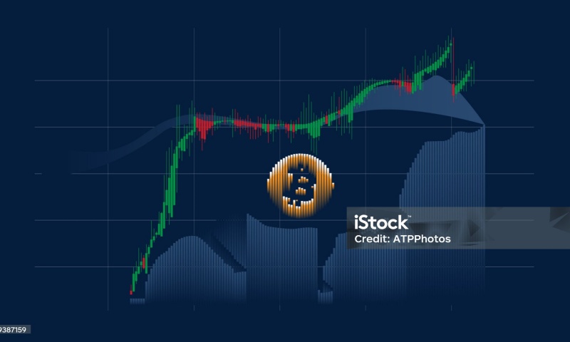 SBC币详细介绍：SBC项目背景及币种机制分析