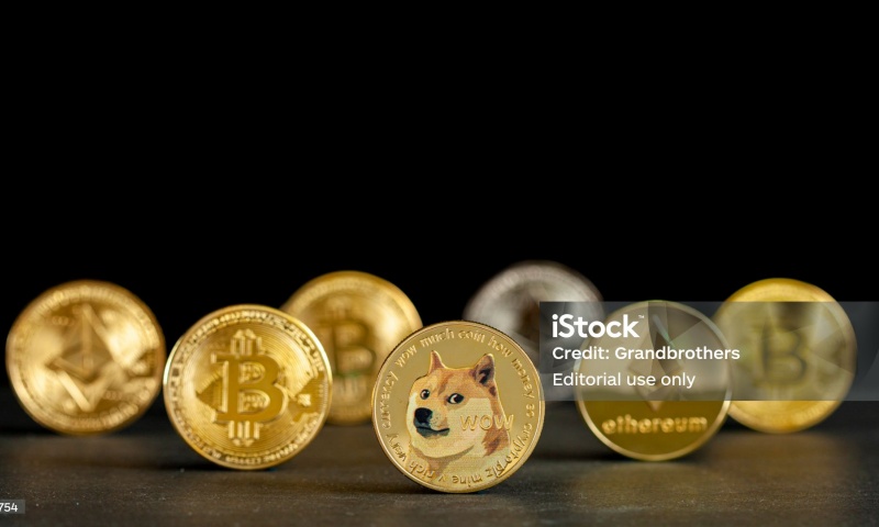 NGM币的发行价格是多少?NGM币发行价格与时间解析