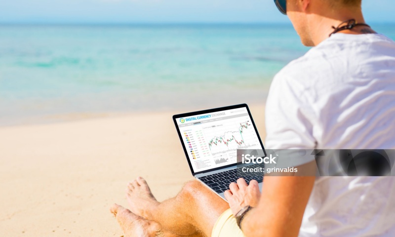 HOGE币总量是多少?HOGE币的发行总量及流通量分析