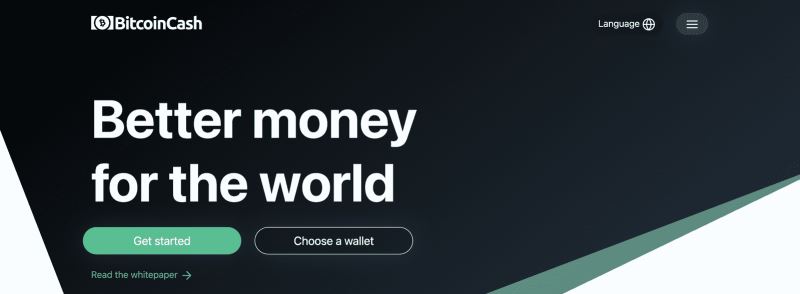 什么是比特币现金（BCH）？比特币现金入门指南