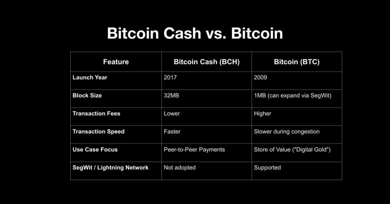 什么是比特币现金（BCH）？比特币现金入门指南