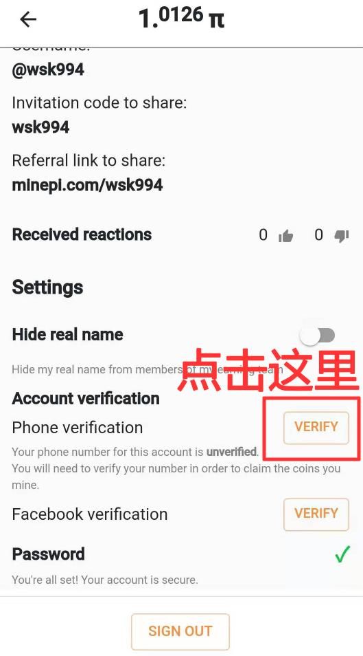 Pi币未来价格如何？未来前景怎么样？Pi币有价值吗？