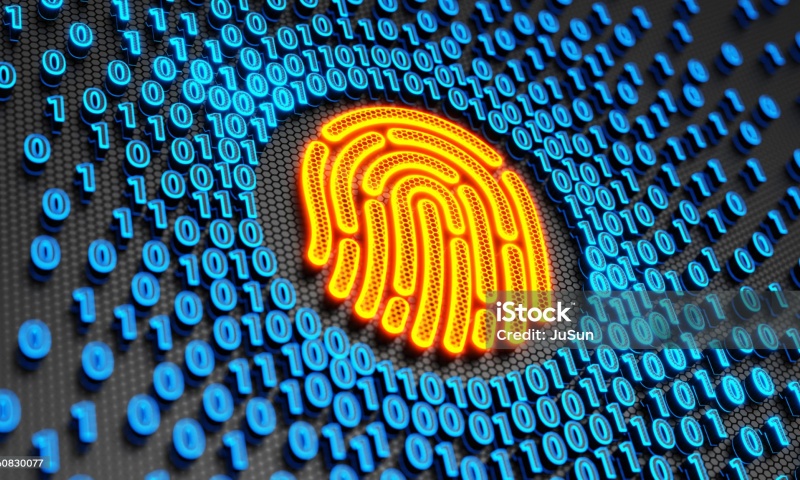 BUX是什么币？BUX币的市场价值与投资分析