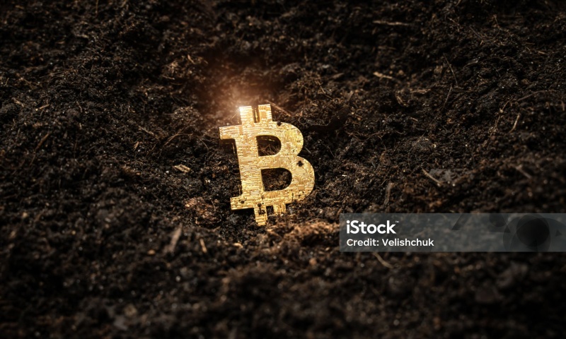 LKR币的发行价是多少？LKR币发行价格和时间介绍